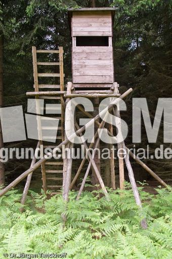 Hochstände (107 von 154).jpg